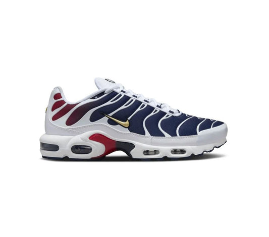 Nike TN - PSG